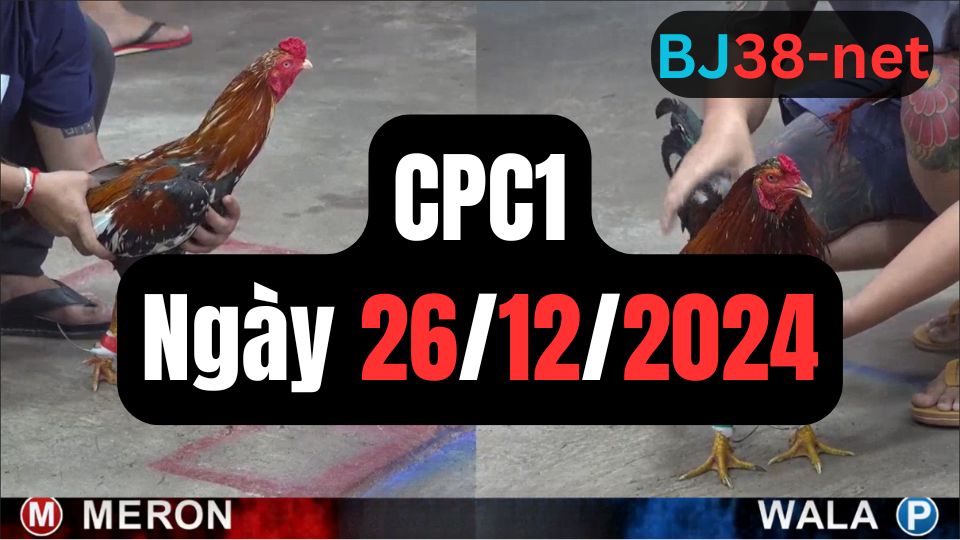 Tổng hợp video đá gà CPC1 26/12/2024